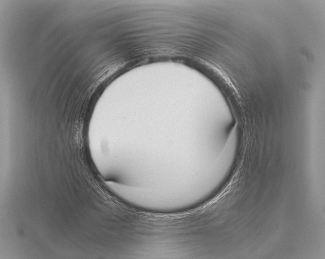 X0000115620873200912081021