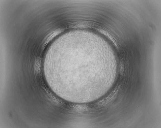 X0000115620874200912081021