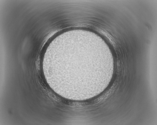 X0000115620875200912081021