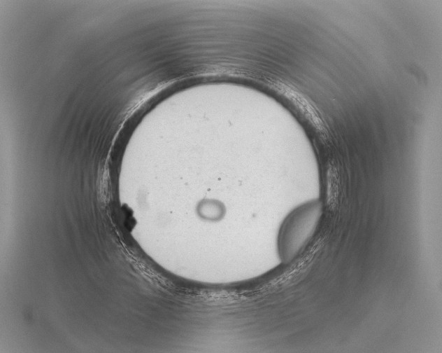 X0000115620876200912081021