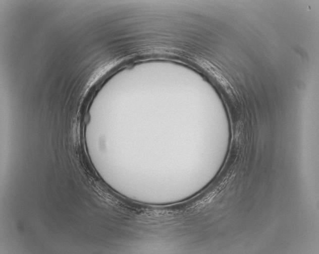 X0000115620877200912081021