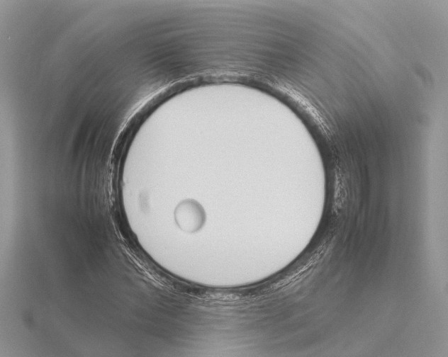 X0000115620878200912081021