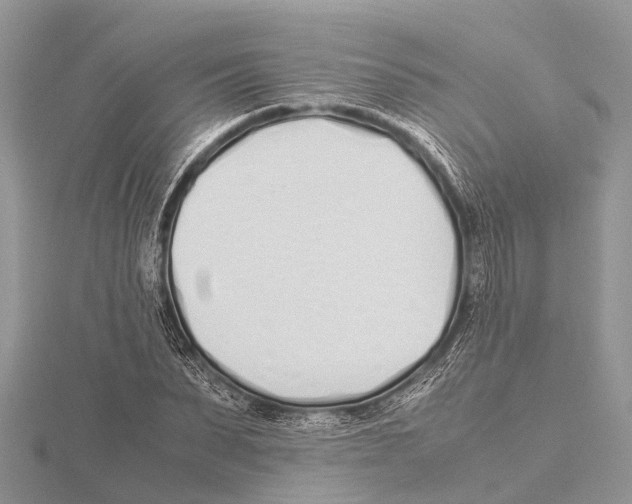 X0000115620879200912081021