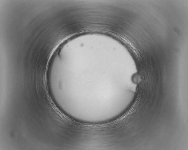 X0000115620880200912081021