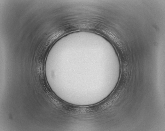 X0000115620881200912081021