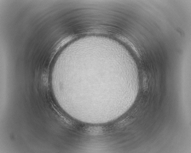 X0000115620882200912081021