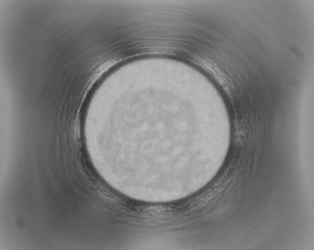 X0000115620883200912081021