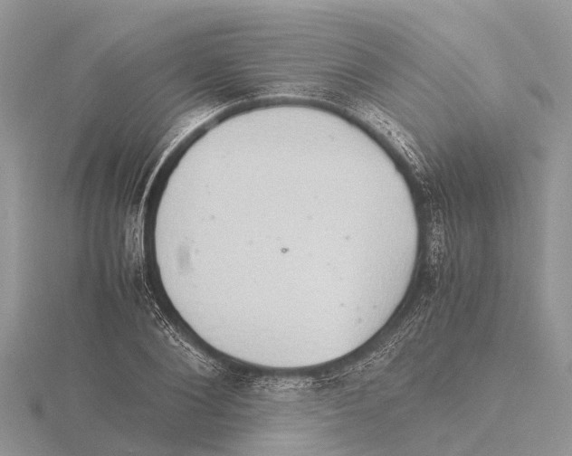 X0000115620884200912081021