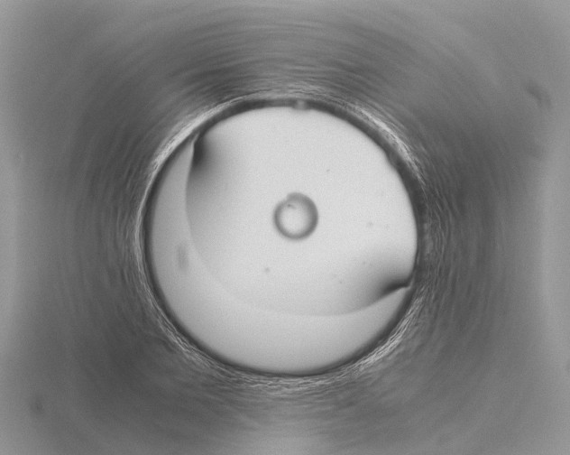 X0000115620885200912081021