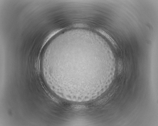 X0000115620886200912081021