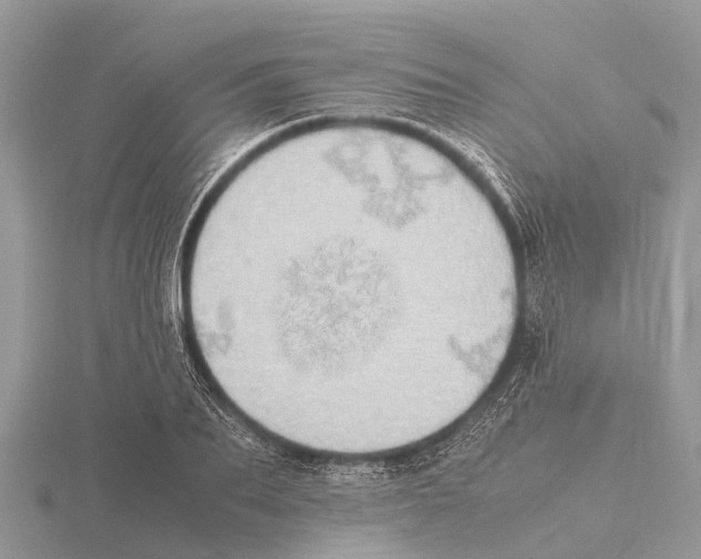 X0000115620887200912081021