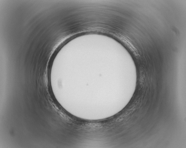 X0000115620888200912081021