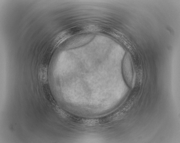 X0000115620889200912081021