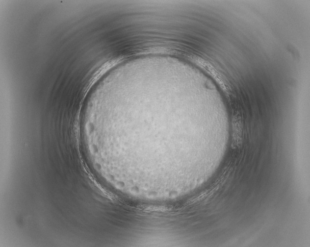 X0000115620890200912081021