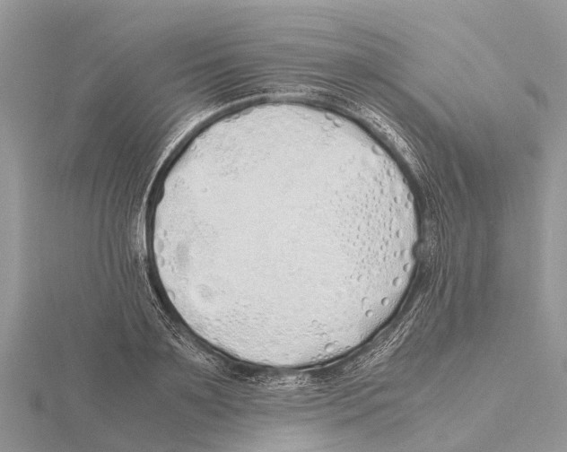 X0000115620891200912081021