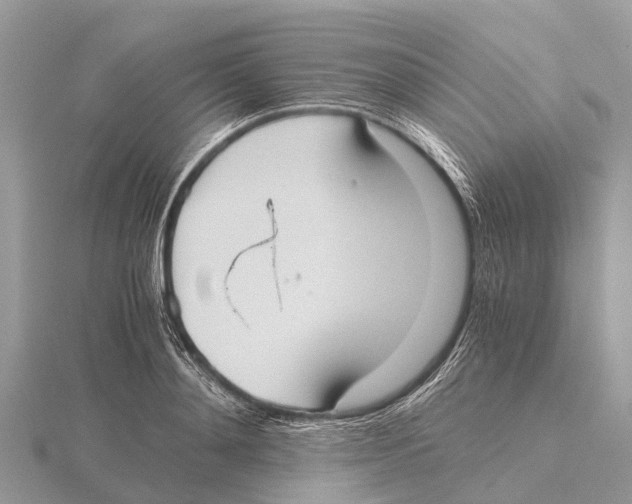 X0000115620892200912081021