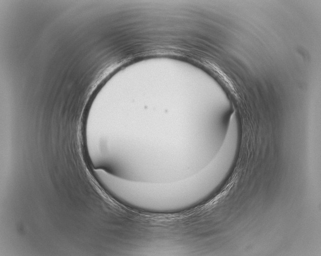 X0000115620893200912081021