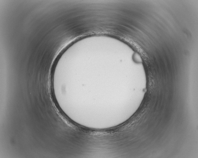 X0000115620894200912081021