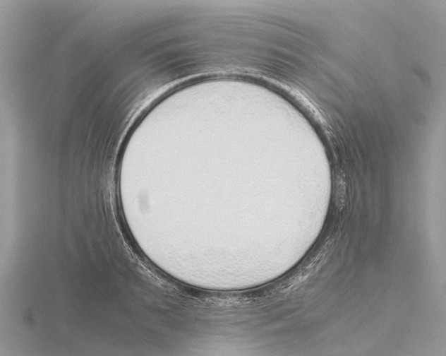 X0000115620895200912081021