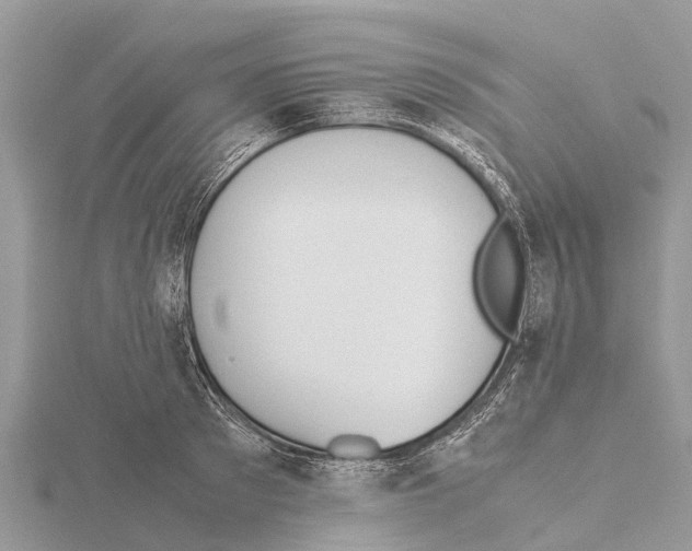 X0000115620897200912081021