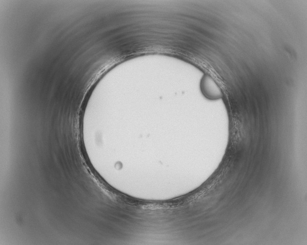 X0000115620898200912081021