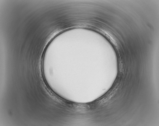 X0000115620899200912081021