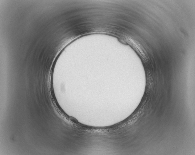 X0000115620900200912081021