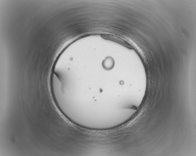 X0000115620901200912081021