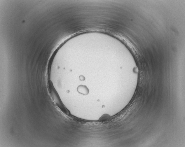 X0000115620902200912081021