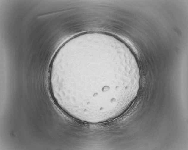 X0000115620903200912081020