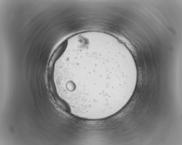 X0000115620904200912081020