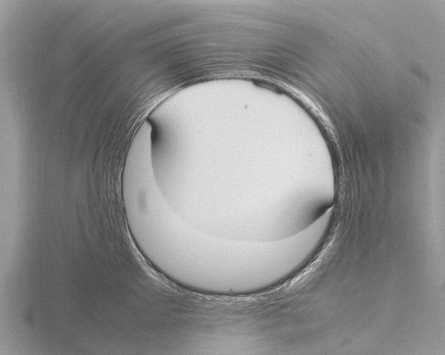 X0000115620905200912081020