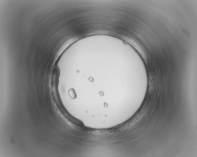 X0000115620906200912081020