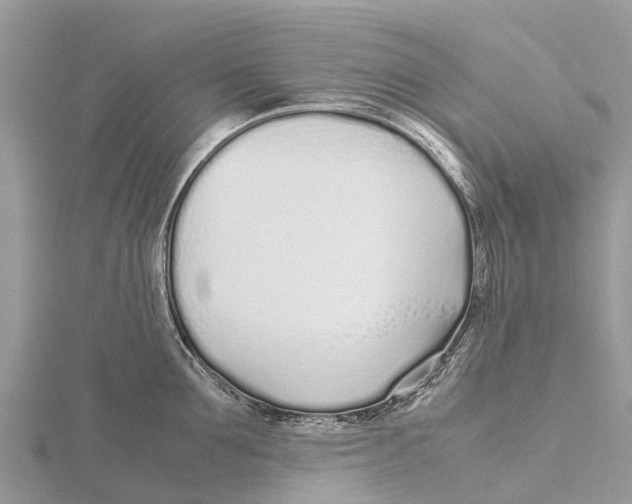 X0000115620907200912081020