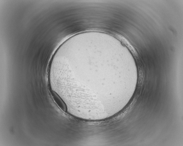 X0000115620908200912081020