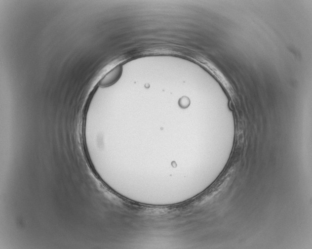 X0000115620909200912081020