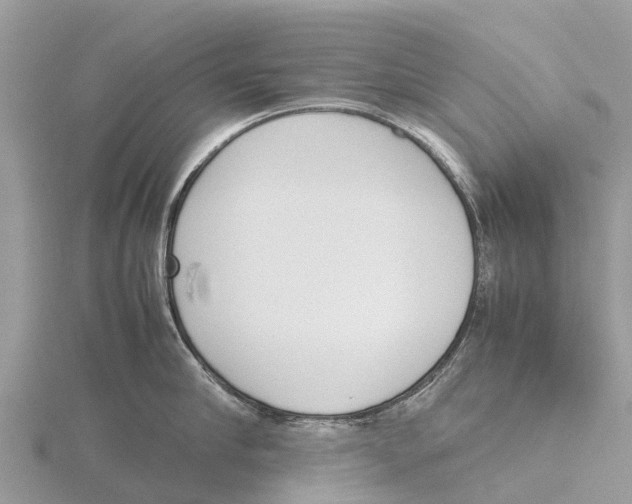 X0000115620910200912081020