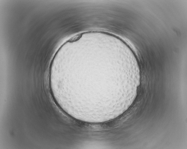 X0000115620911200912081020