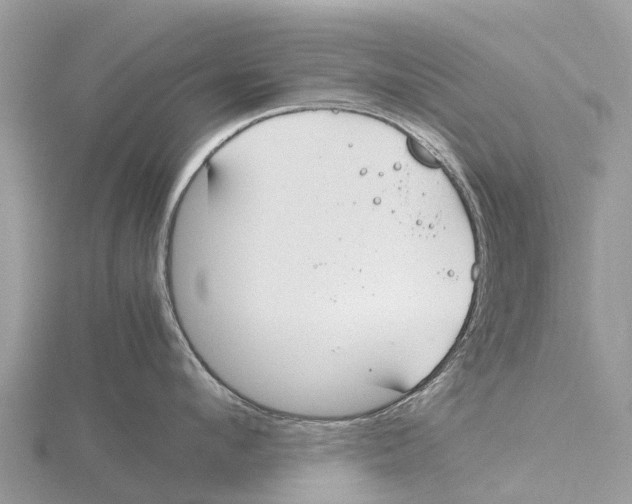 X0000115620912200912081020