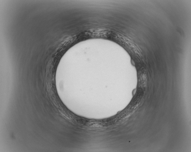 X0000115620913200912081020