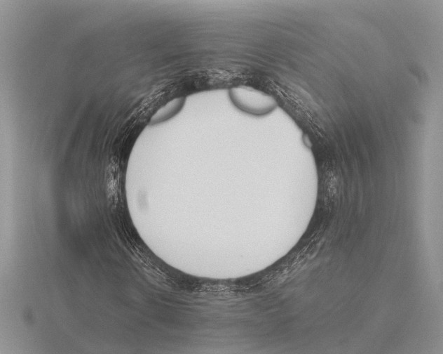 X0000115620914200912081020