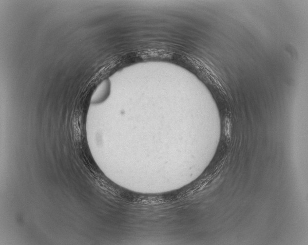 X0000115620915200912081020