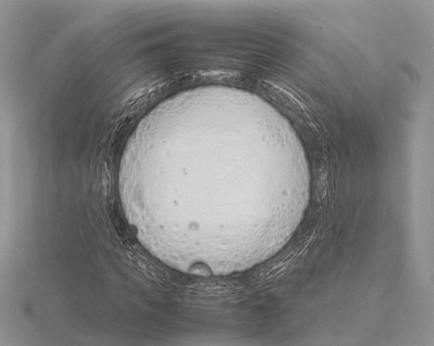 X0000115620917200912081020