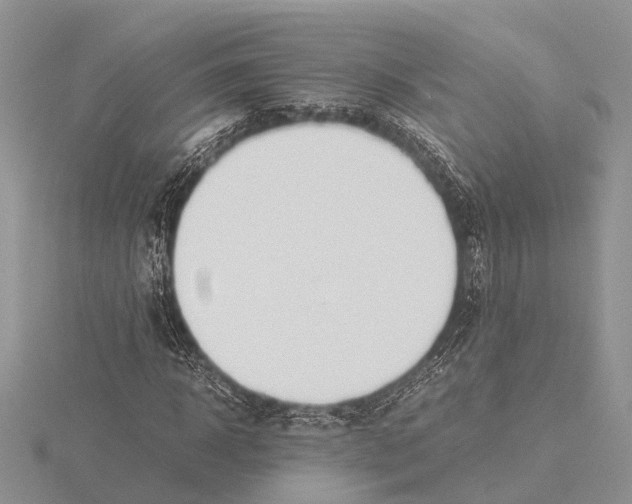 X0000115620918200912081020