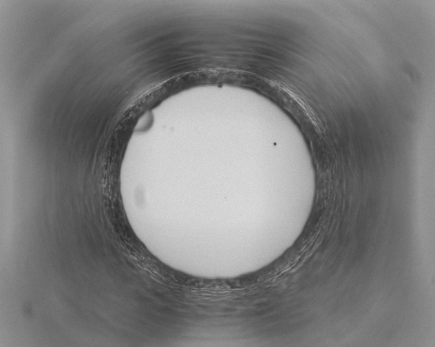 X0000115620919200912081020