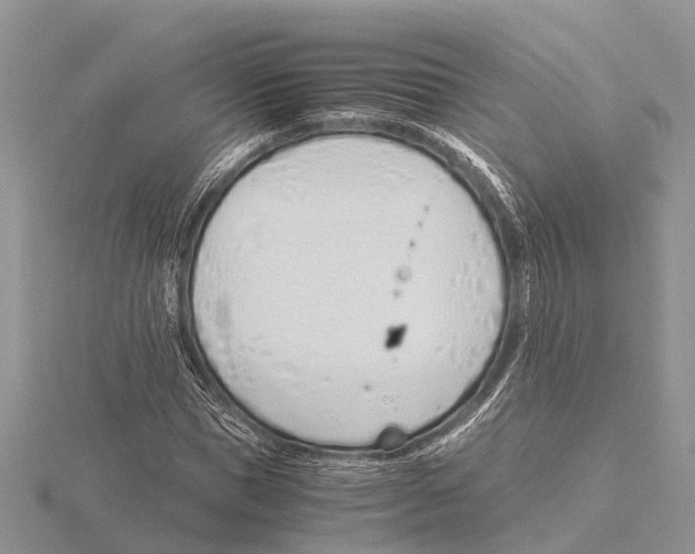 X0000115620921200912081020