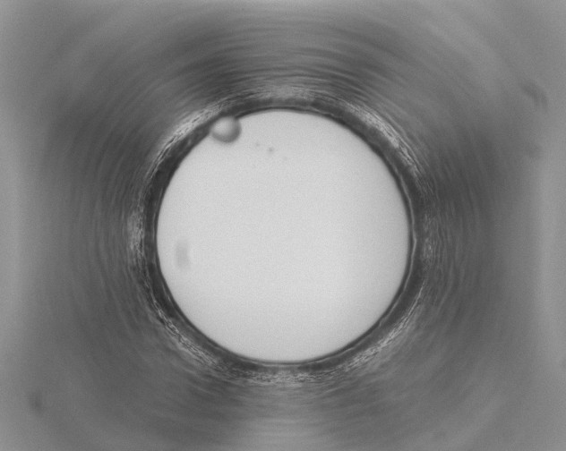 X0000115620922200912081020