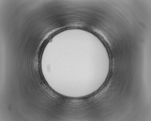 X0000115620923200912081020