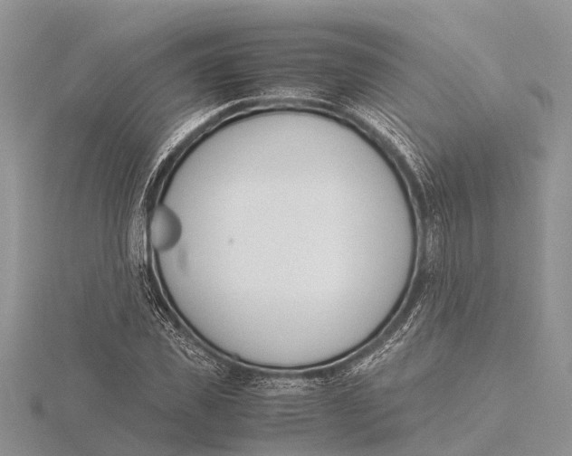 X0000115620925200912081020