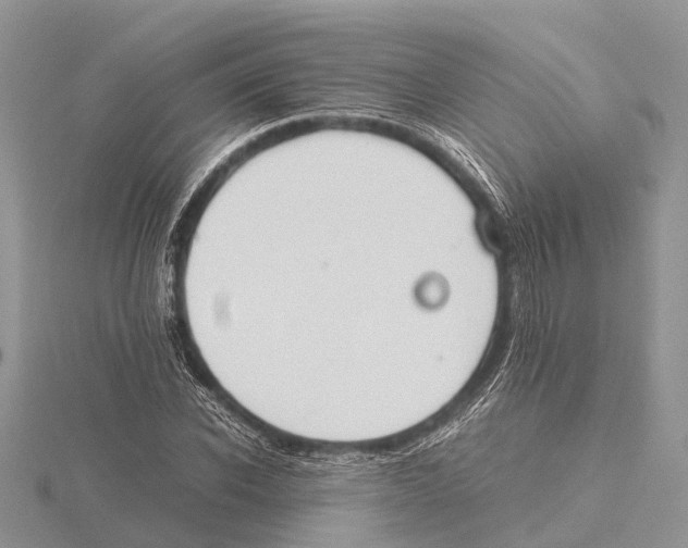 X0000115620926200912081020